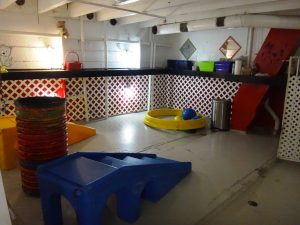 Kennel at Newport Center Animal Hospital
