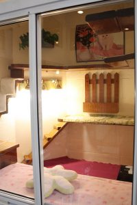 Interior of Newport Center Animal Hospital