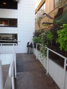 Exterior of Newport Center Animal Hospital