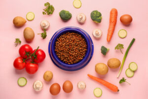 What Type of Nutrition Is Best for My Pet?