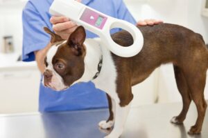 Pet Microchip