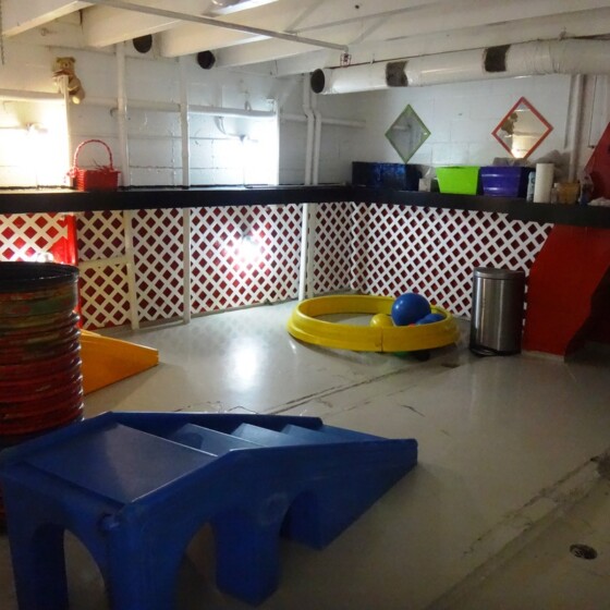 Kennel at Newport Center Animal Hospital