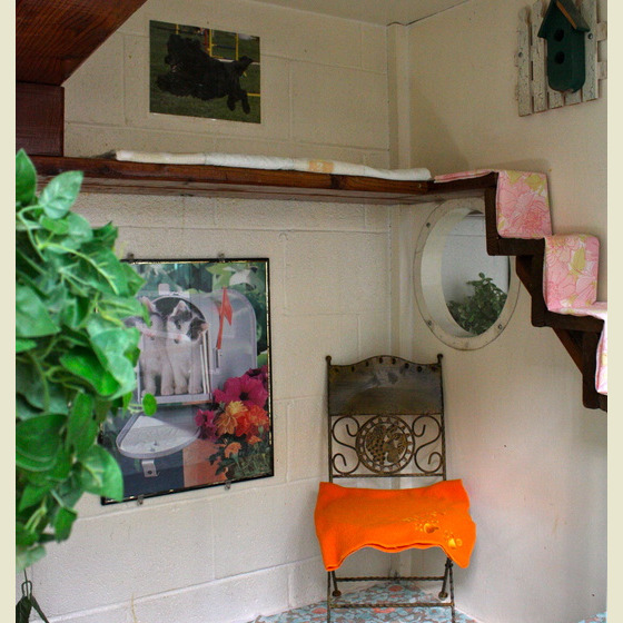 Interior of Newport Center Animal Hospital