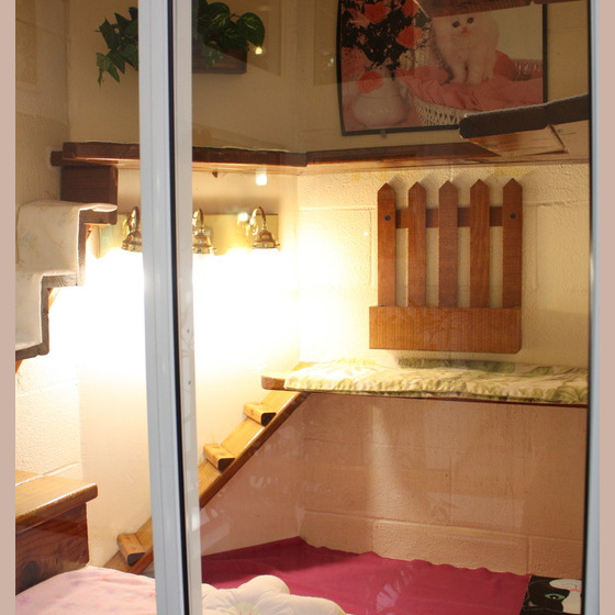 Interior of Newport Center Animal Hospital