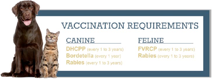 vaccine-requirements