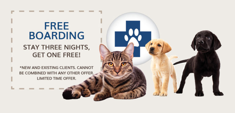 Monthly Specials - Newport Center Animal Hospital