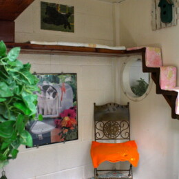 Interior of Newport Center Animal Hospital