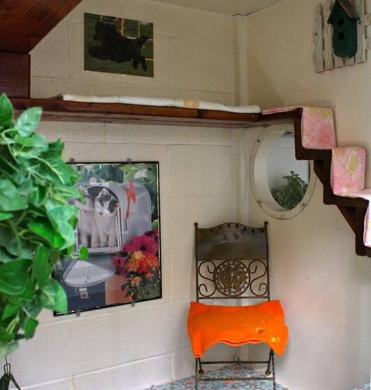 Interior of Newport Center Animal Hospital