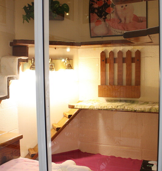 Interior of Newport Center Animal Hospital