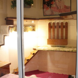 Interior of Newport Center Animal Hospital