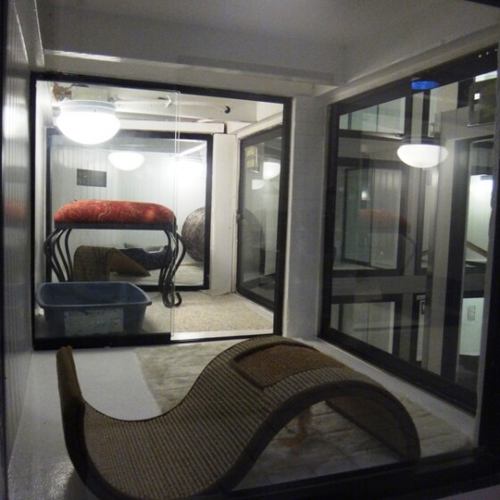 Interior of Newport Center Animal Hospital