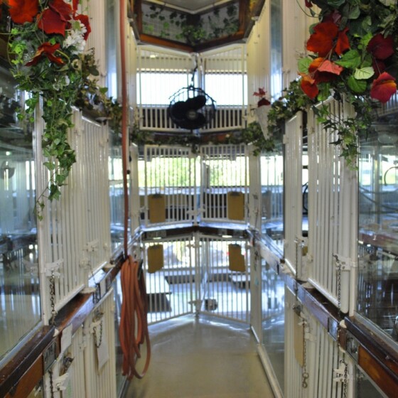Interior of Newport Center Animal Hospital
